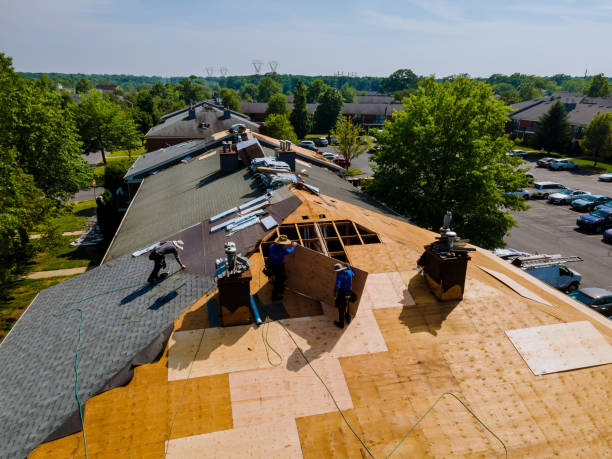 Trusted Roof Replacement service in Colonial Heights, VA - Brentwood Metal Roofing